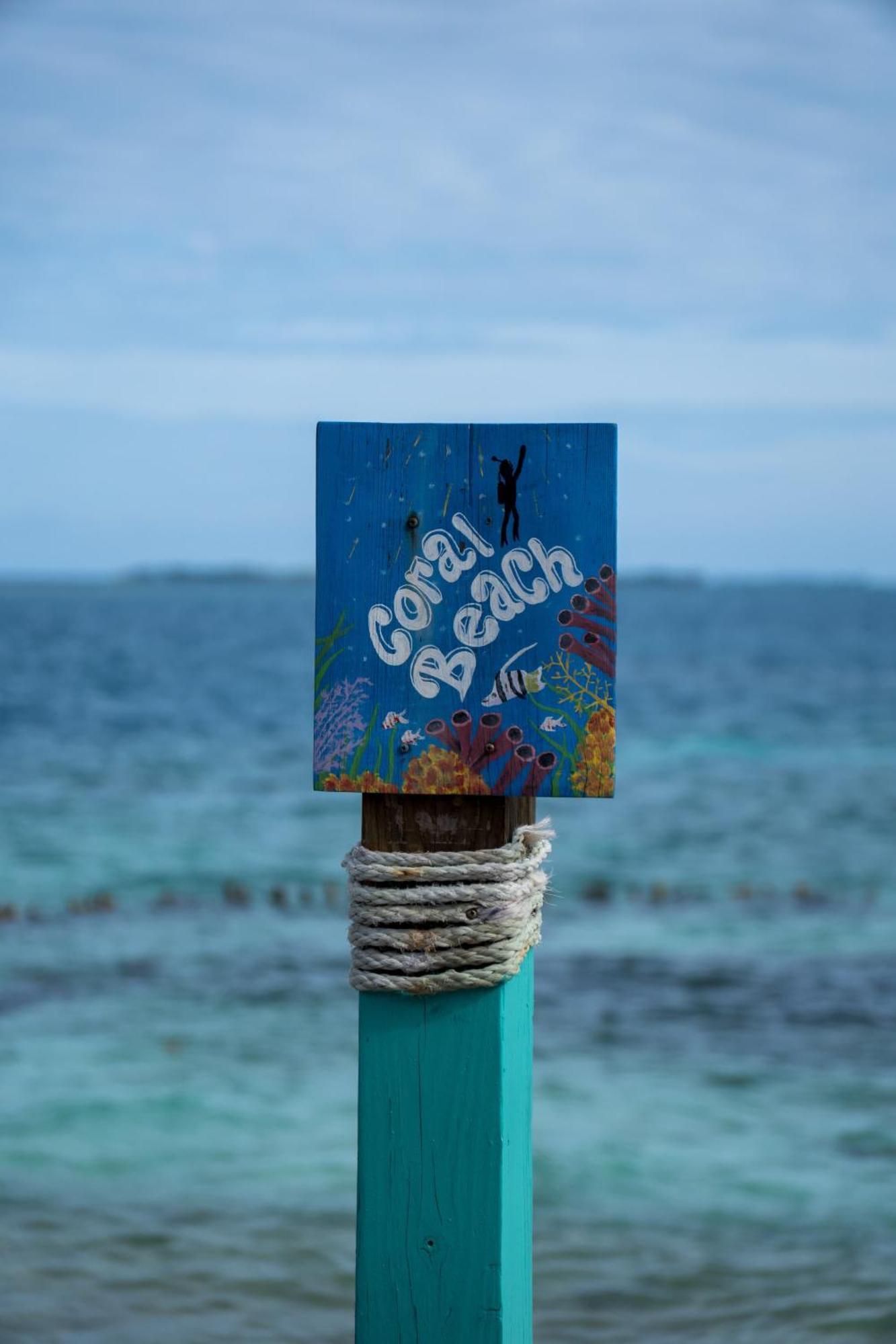 King Lewey'S Island Resort Placencia Exterior foto