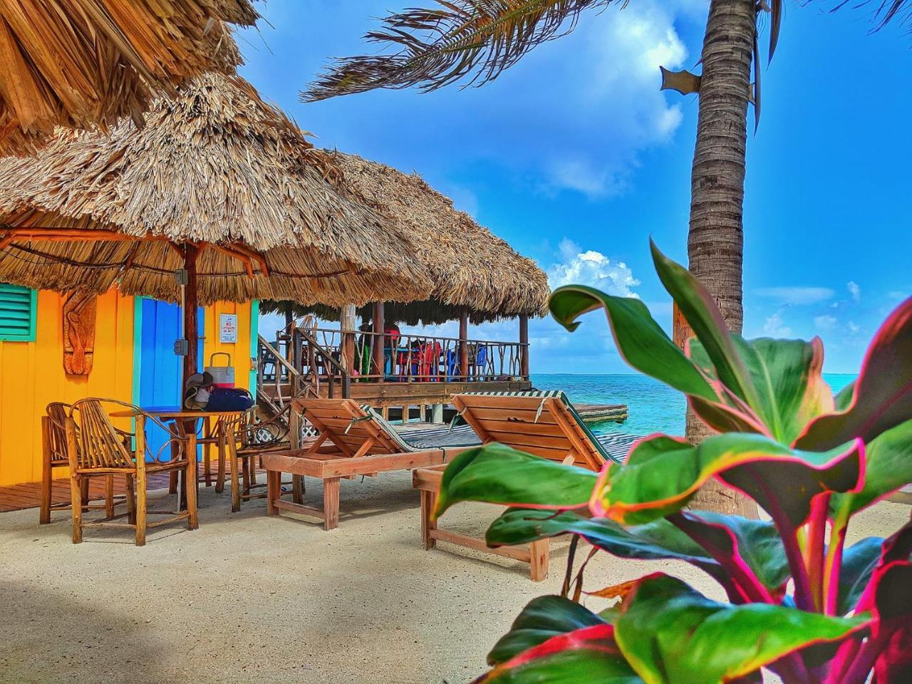 King Lewey'S Island Resort Placencia Exterior foto